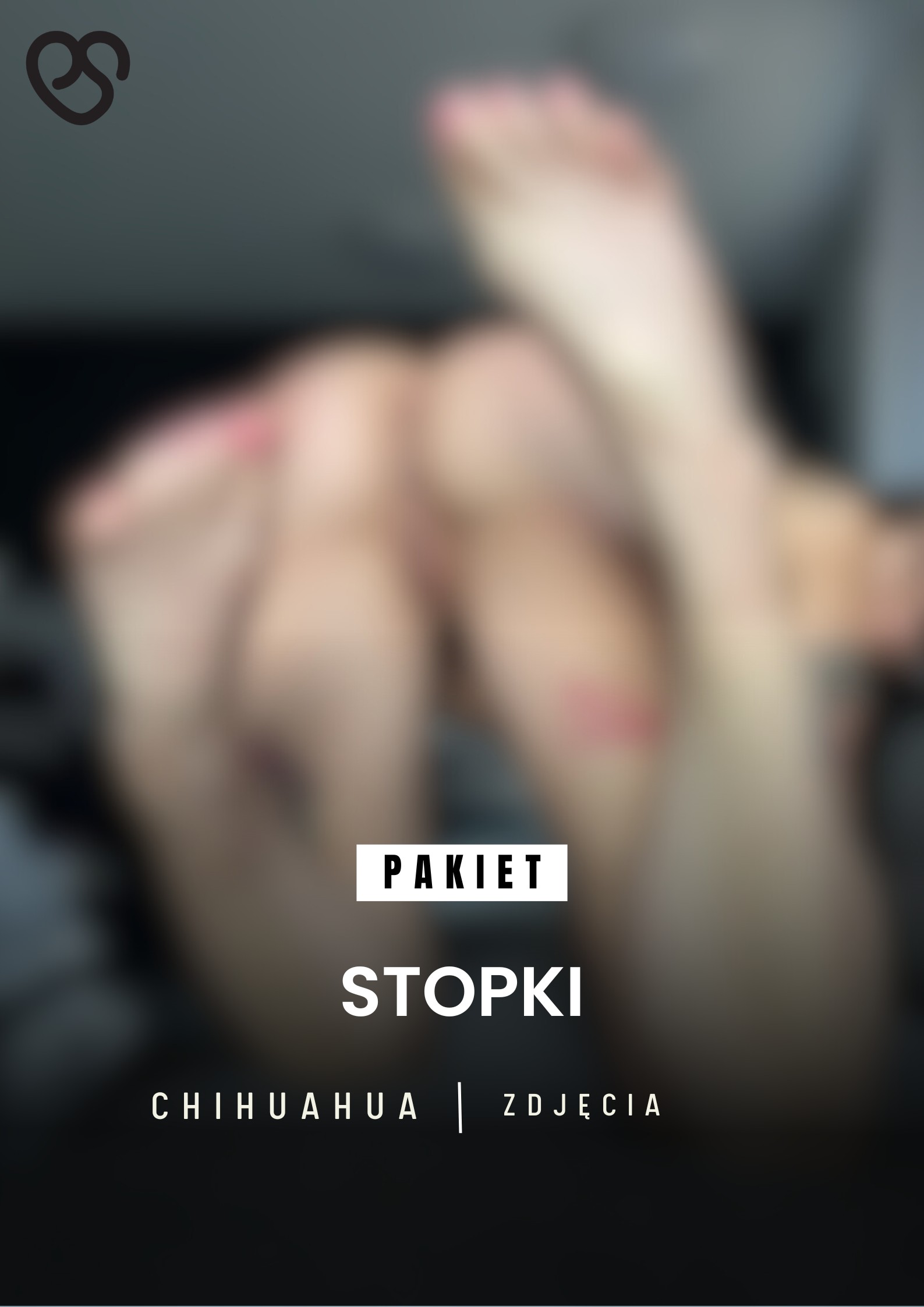 Pakiet Stopki Chihuahua